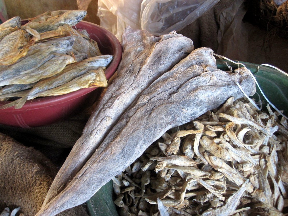Mangalore Mangalore  Mangalore Dry Fish Market